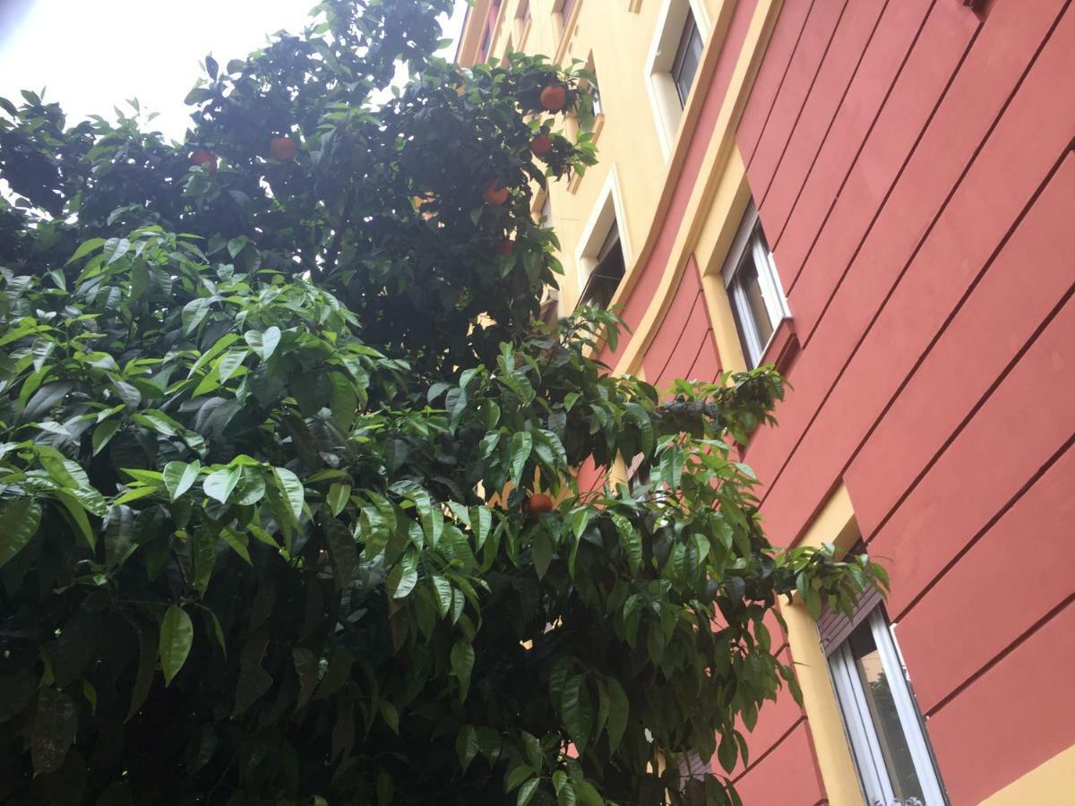 Casa Volver Rom Eksteriør billede
